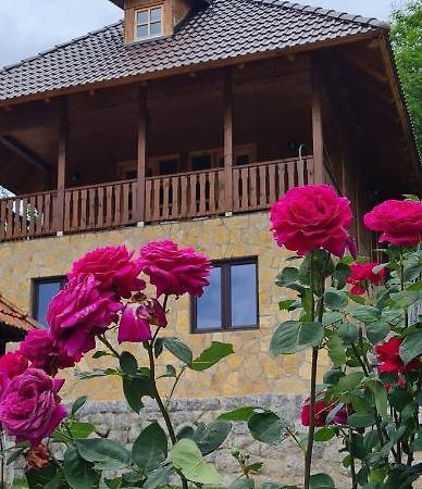 Rankovi Konaci Villa Zlatibor Dış mekan fotoğraf