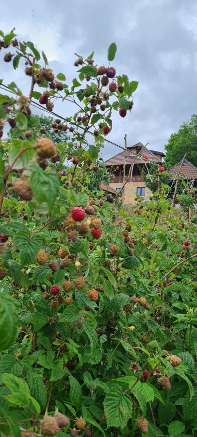 Rankovi Konaci Villa Zlatibor Dış mekan fotoğraf