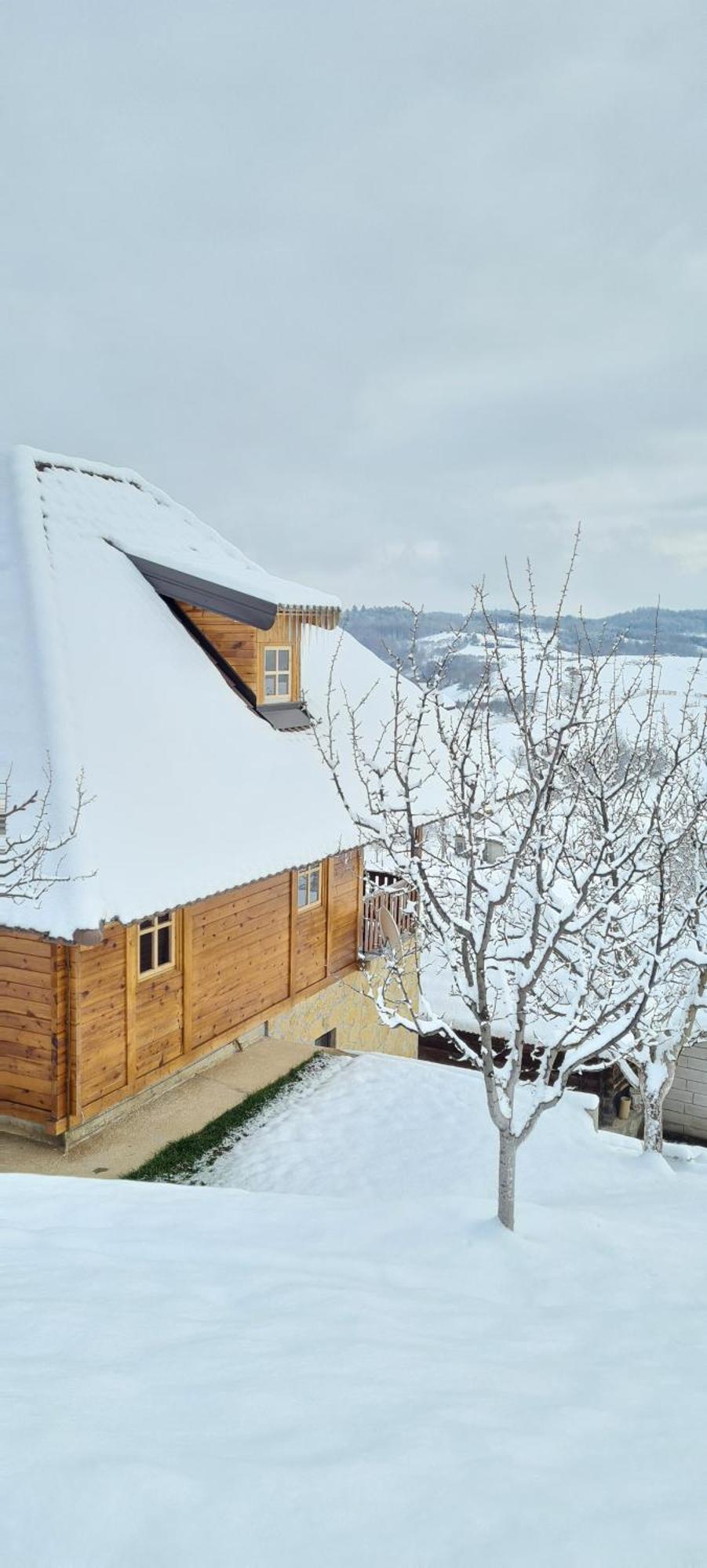 Rankovi Konaci Villa Zlatibor Oda fotoğraf